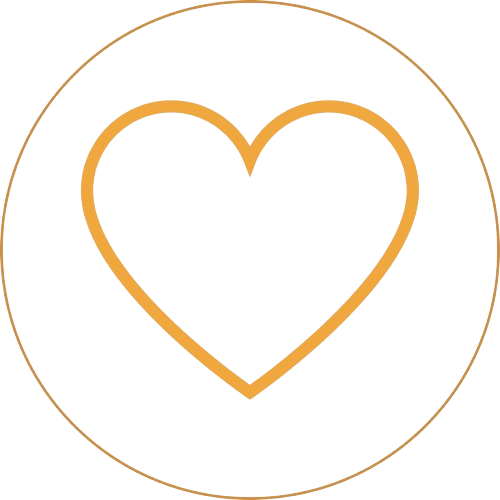 Heart Trans